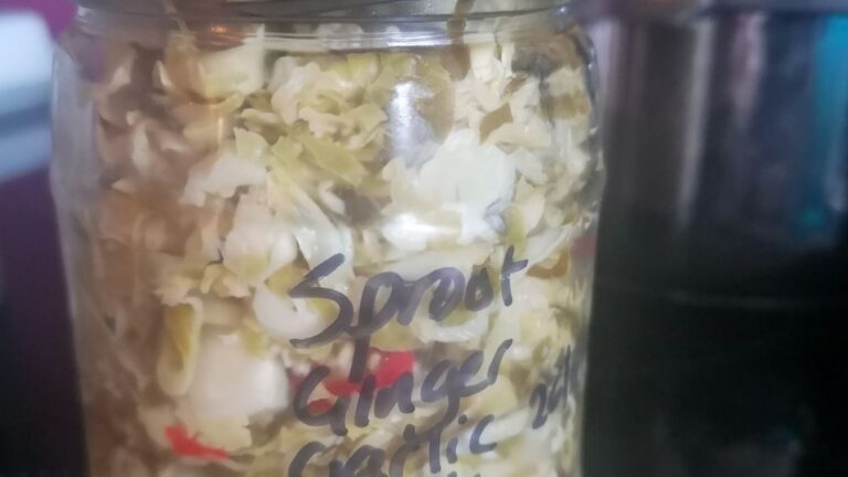 Spicy Fermented Sprouts